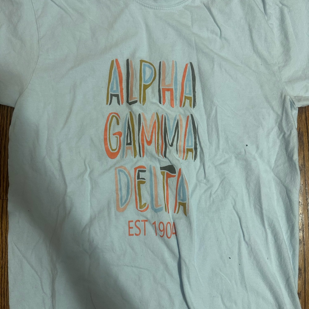 Alpha Gamma Delta Light Blue T-Shirt
